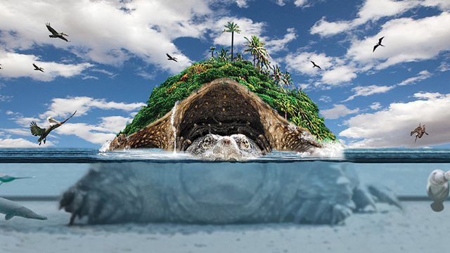 "Turtle island" artwork