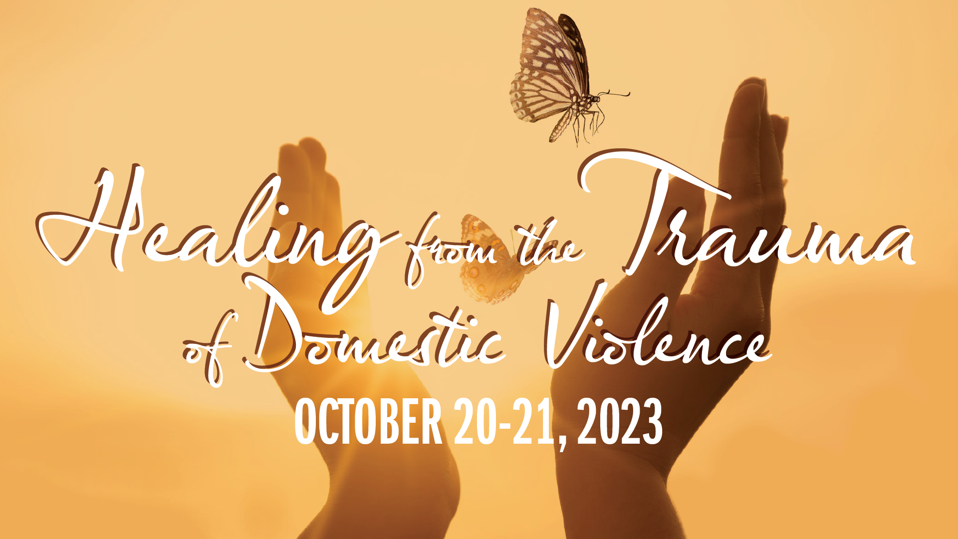 Featured image for “Domestic Violence seminar to introduce Triumph Over Trauma”